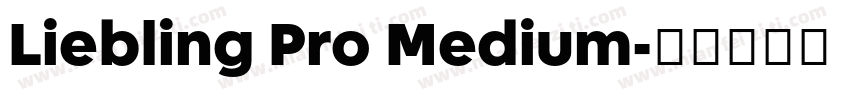 Liebling Pro Medium字体转换